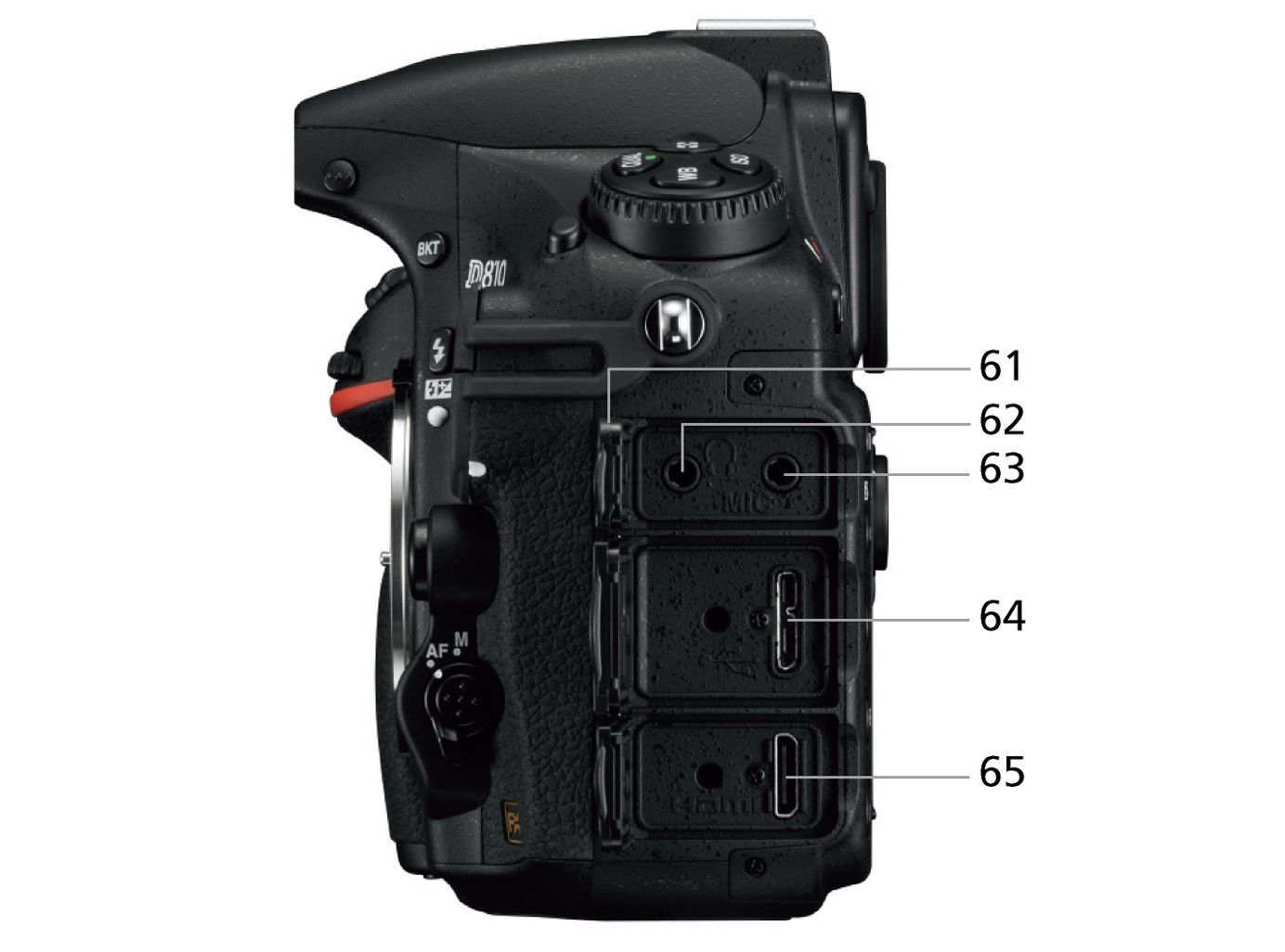 D810 側面