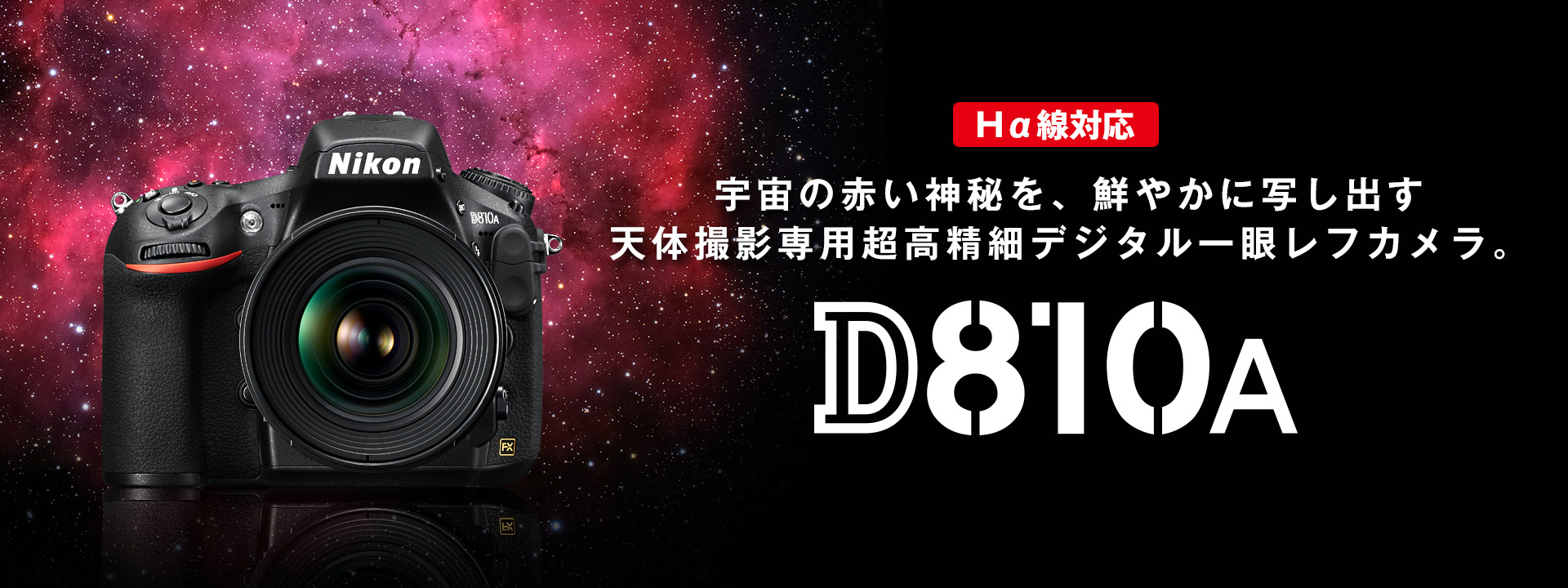 D810A