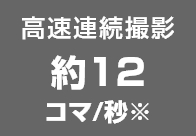 高速連続撮影約12コマ/秒※