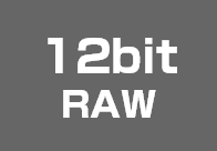 12bit RAW