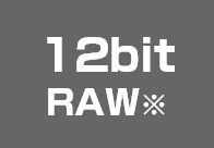 1.2bit RAW※