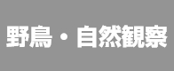 野鳥・自然観察