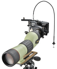 組み合わせ例：フィールドスコープED3+24xワイドDS接眼レンズ+FSB-U1+クールピクスP6000