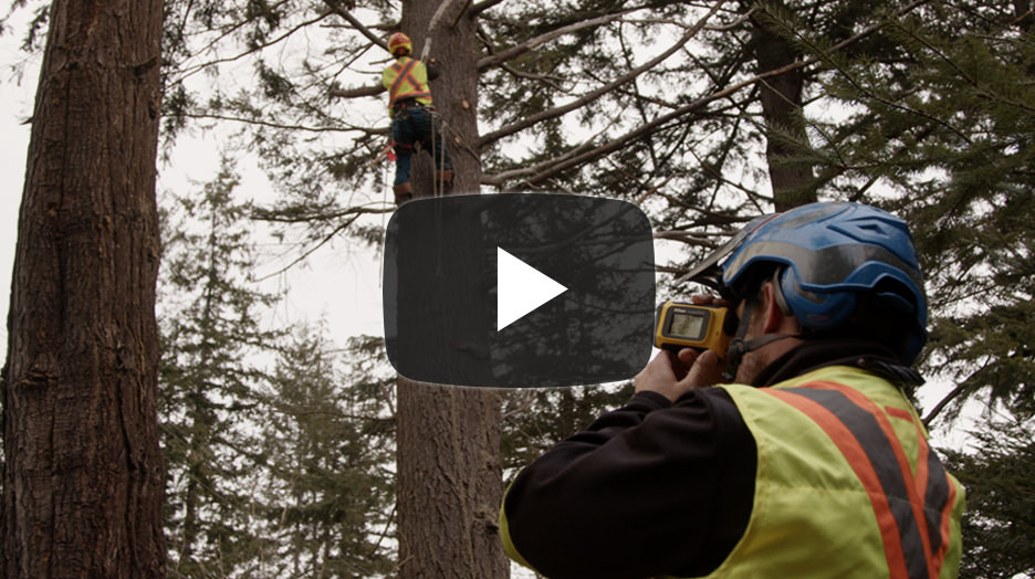 Forestry Pro II J動画