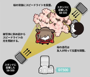スピードライト2灯で夜桜をライトアップして撮影する説明イラスト。詳細は本文中。