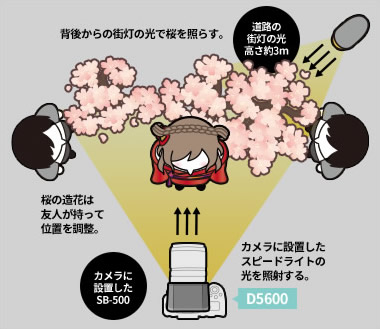 街灯＋スピードライトで夜桜をライトアップして撮影する説明イラスト。詳細は本文中。