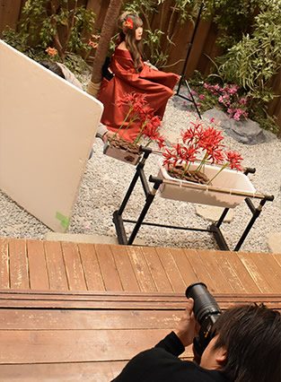 彼岸花を使用した撮影風景の写真。