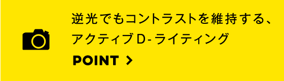 逆光でもコントラストを維持するアクティブ D-ライティング