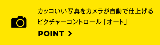 カッコいい写真をカメラが自動で仕上げるピクチャーコントロール「オート」