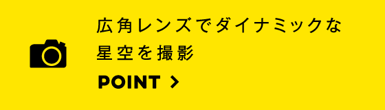 楽しい瞬間をスマホに即座に転送できるSnapBridge