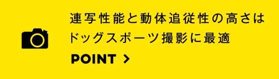 最高8コマ／秒の連写で素早い犬の動きにも対応