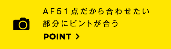 連写性能と動体追従性の高さはドッグスポーツ撮影に最適