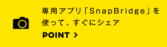 アクティブD-ライティング機能で、逆光でも飛びにくくつぶれにくい