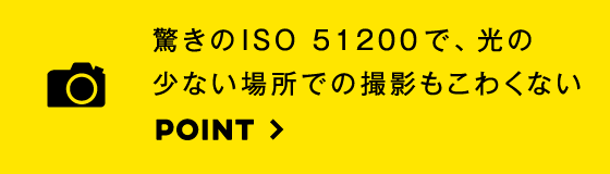 専用アプリ「SnapBridge」を使って、即行シェア