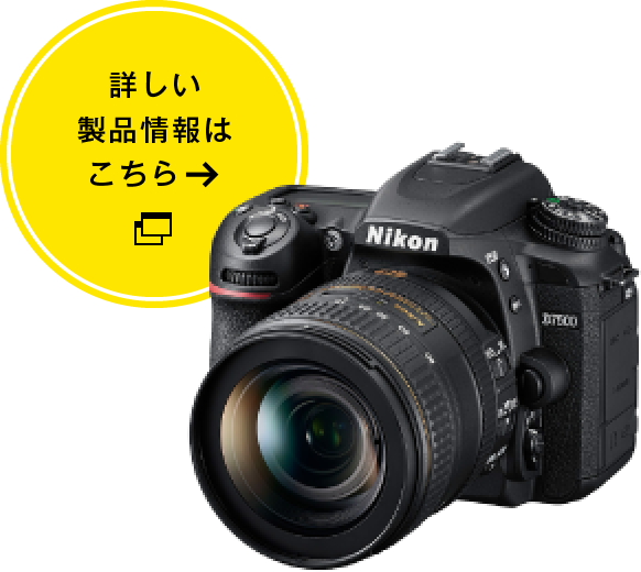 詳しい製品情報はこちら