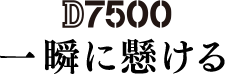 D7500 一瞬に懸ける