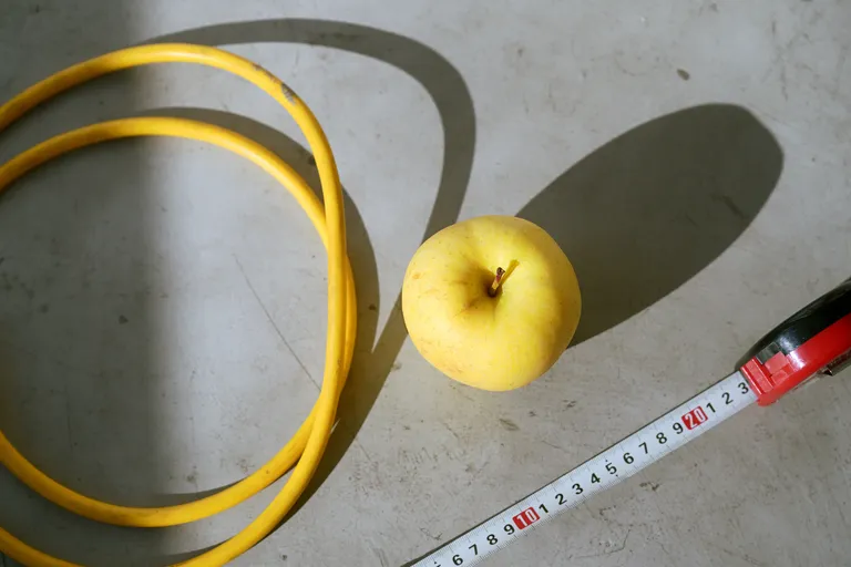  Photo: Cyan & Blue 01b 3