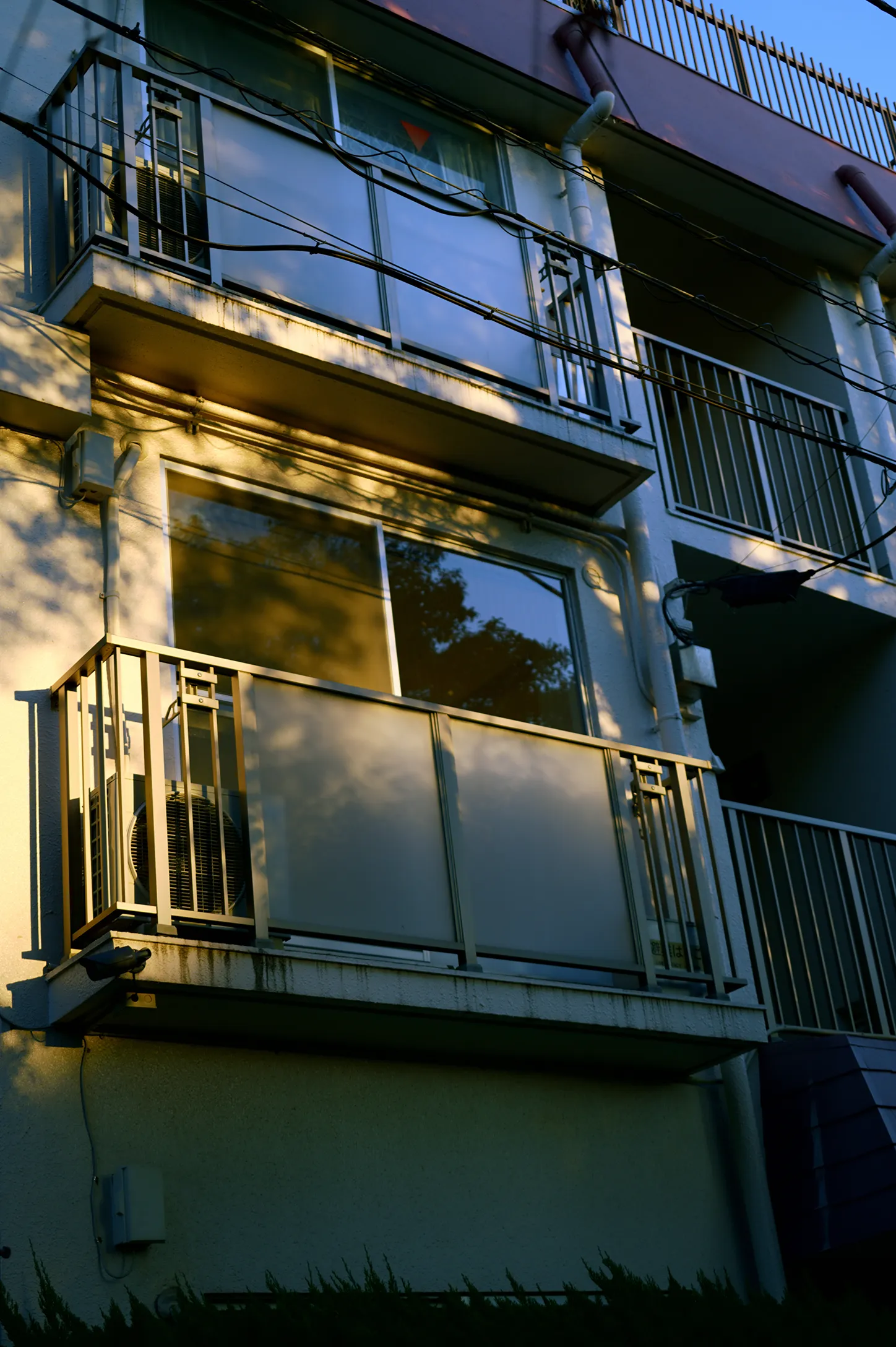 Photo: Green & Cyan 01b 1