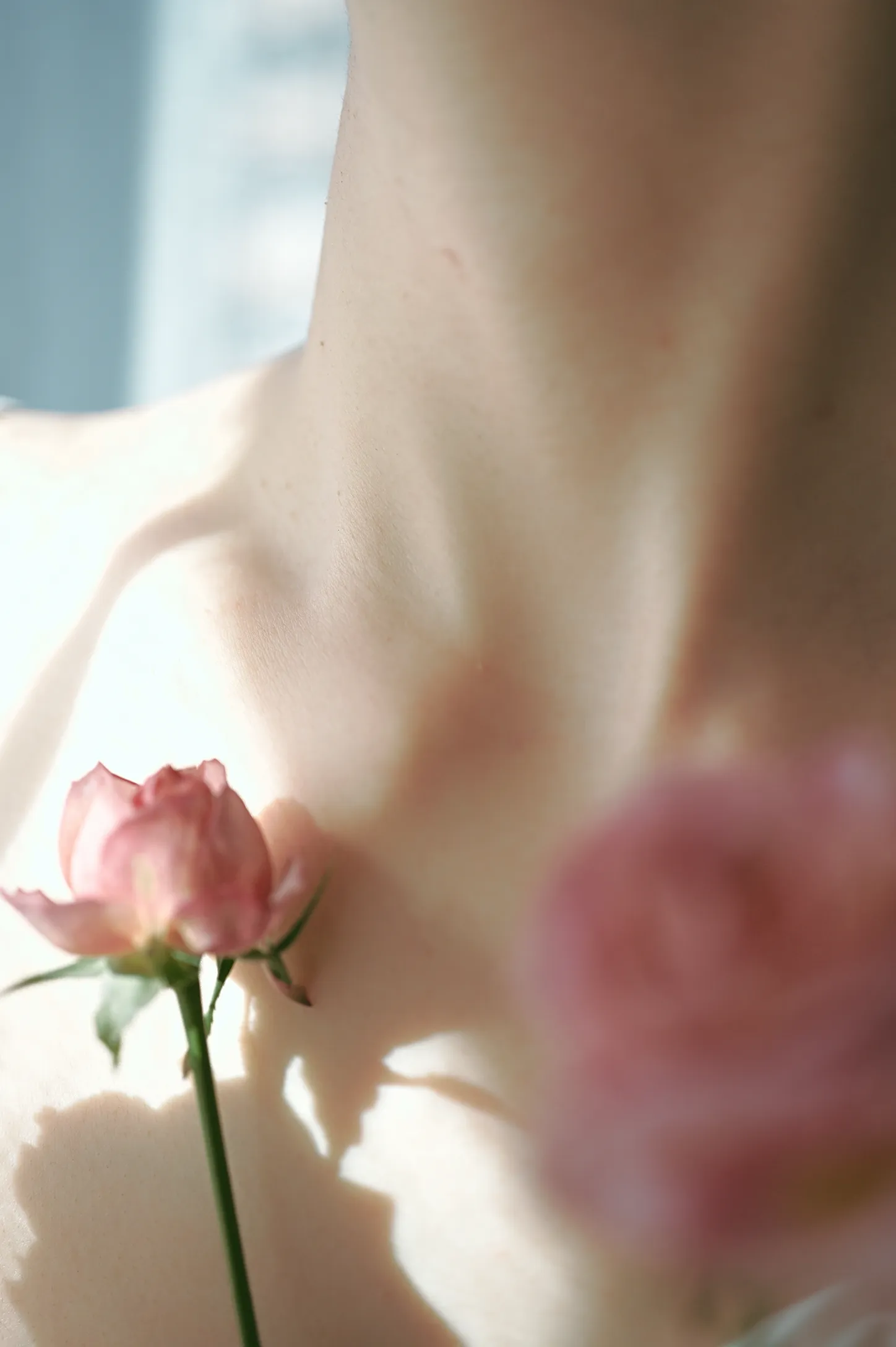 Photo: Sky Mist Film 1