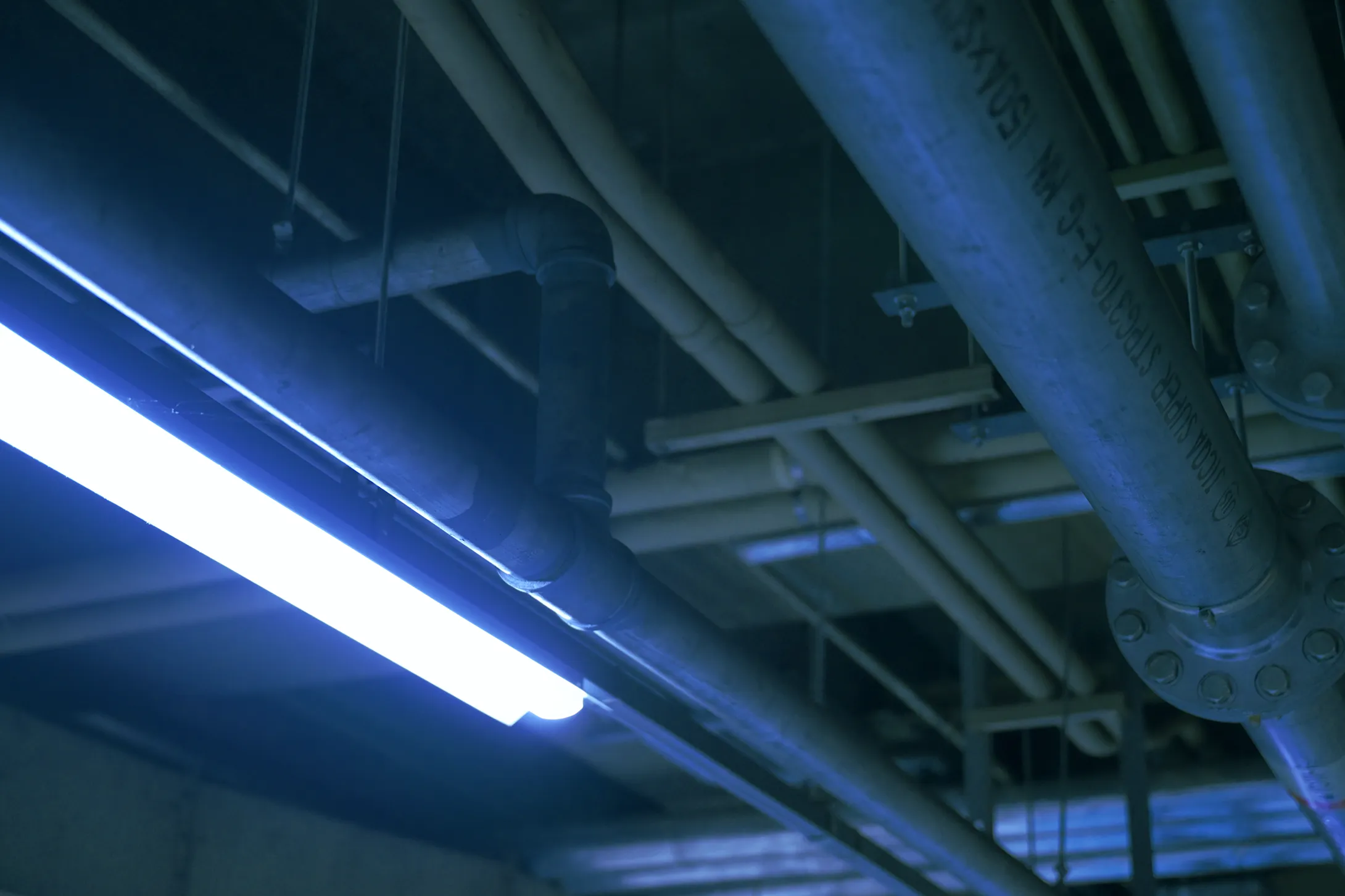 Photo: Tungsten Color 01b 4