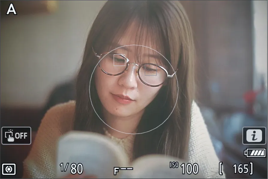 Zf画面: マニュアルフォーカス