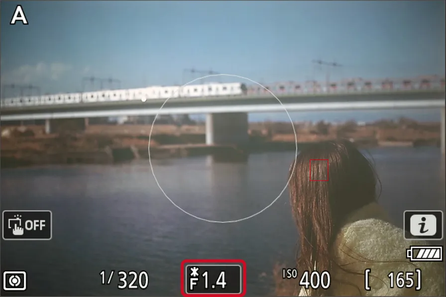 Zf画面: 記録用絞り値の設定有効時のF値表示