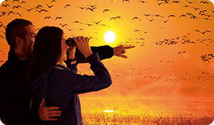 広視界タイプは広い範囲を見ることができる！