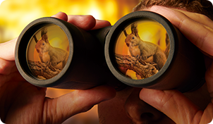 野生動物をじっくり観察したいときには多層膜コーティングが施されているものが最適！