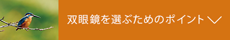 双眼鏡を選ぶためのポイント