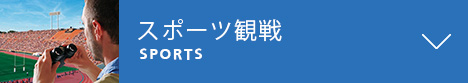 スポーツ観戦