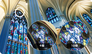 倍率は森林では8〜10倍、湖沼や干潟では8〜12倍がおすすめ！