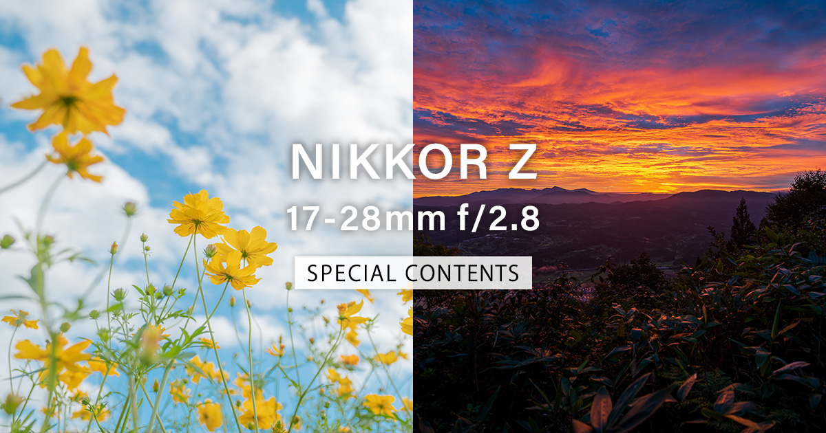NIKKOR Z 17-28mm f/2.8 スペシャルコンテンツ | ニコン