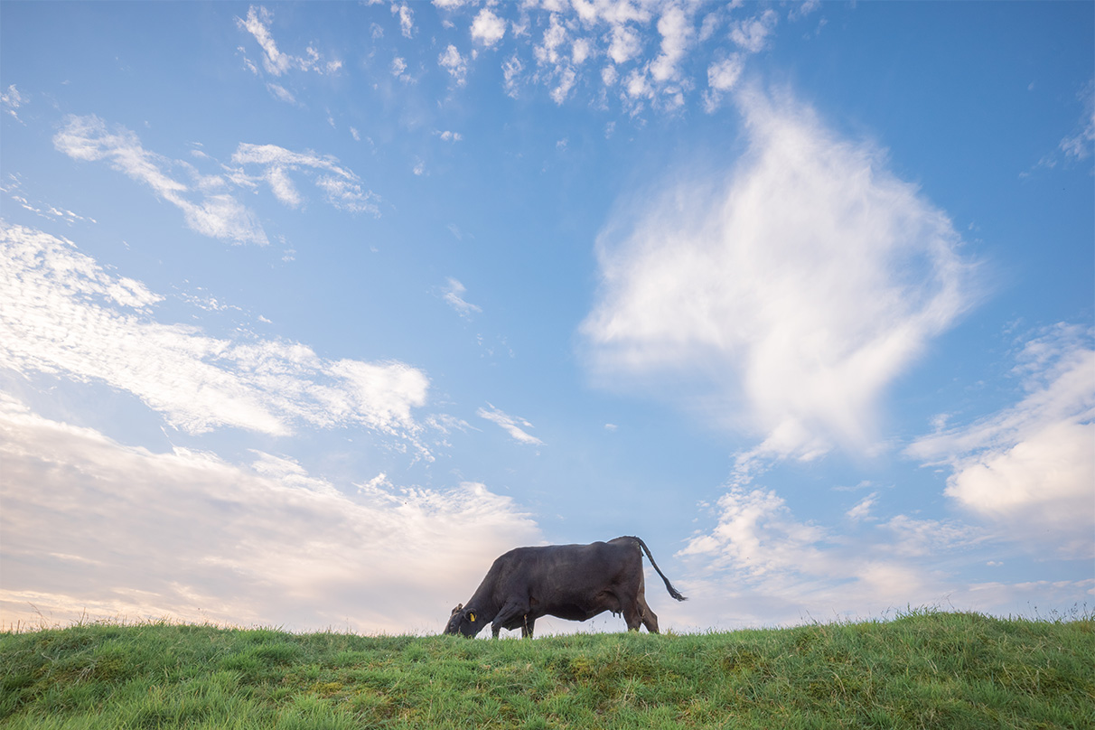 小春 ハルカ×NIKKOR Z 17-28mm f/2.8作品