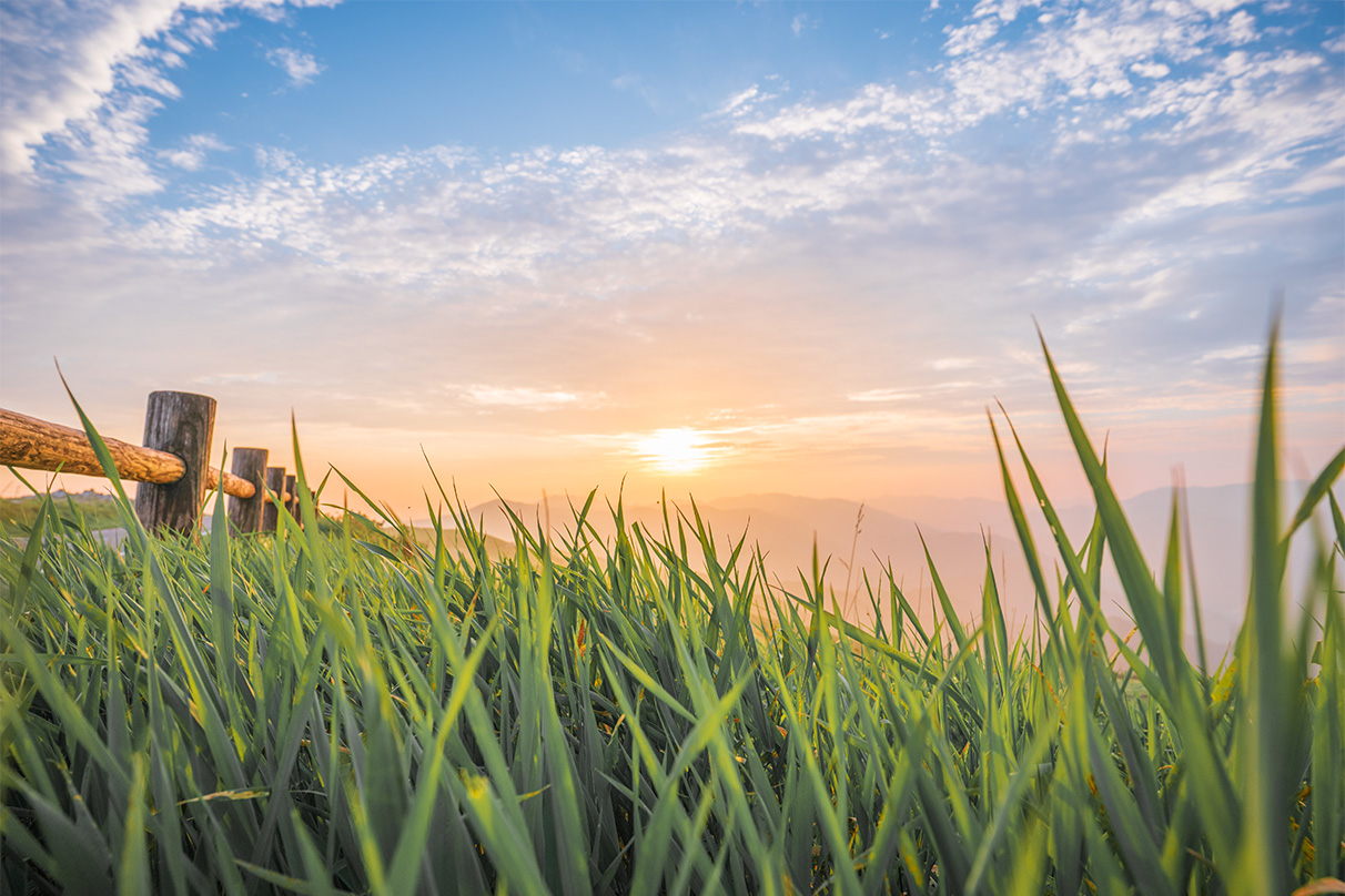 小春 ハルカ×NIKKOR Z 17-28mm f/2.8作品