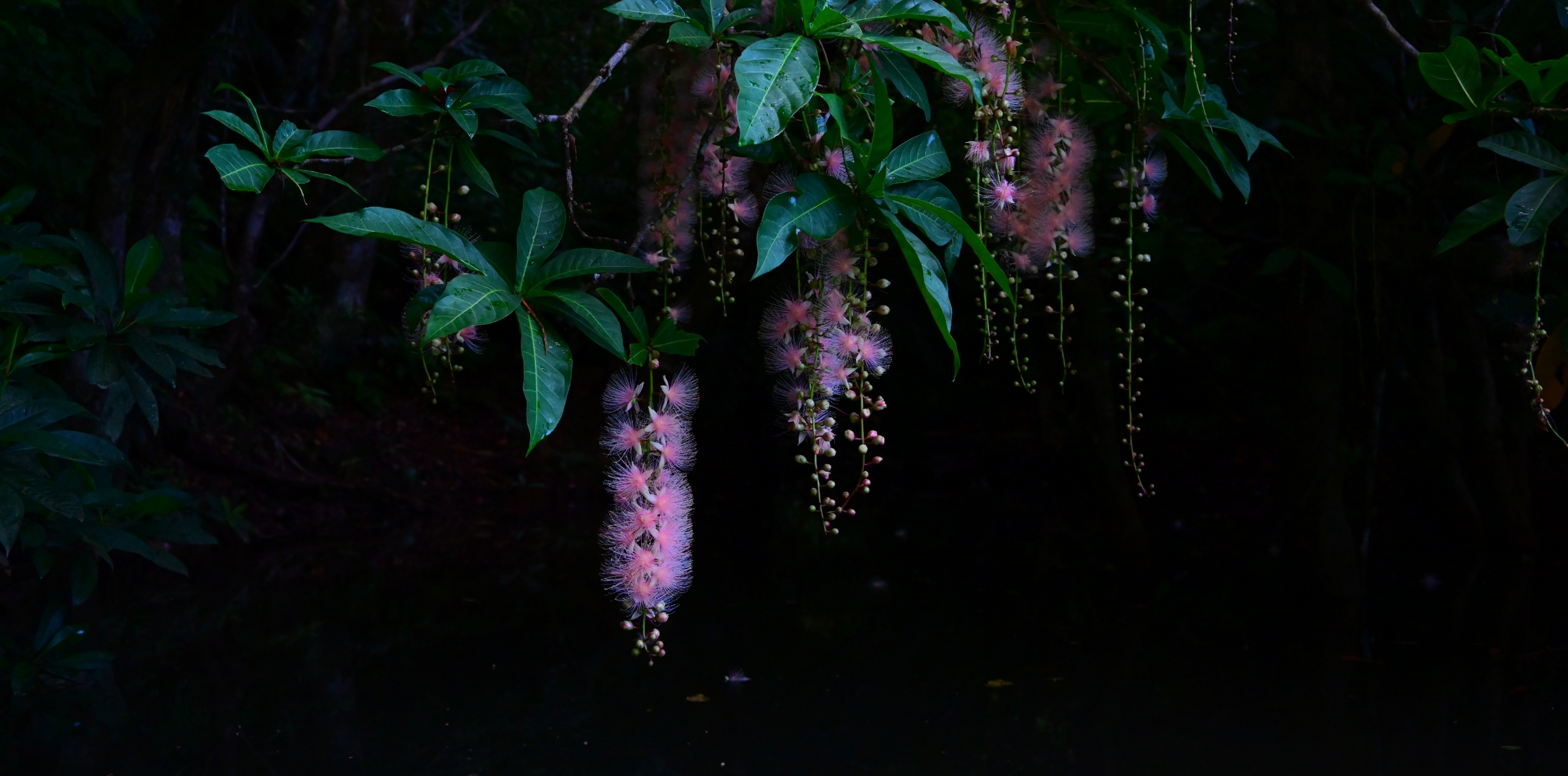 星野 佑佳×NIKKOR Z 24-200mm f/4-6.3 VR作品