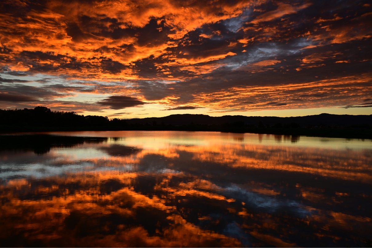 星野 佑佳×NIKKOR Z 24-200mm f/4-6.3 VR作品