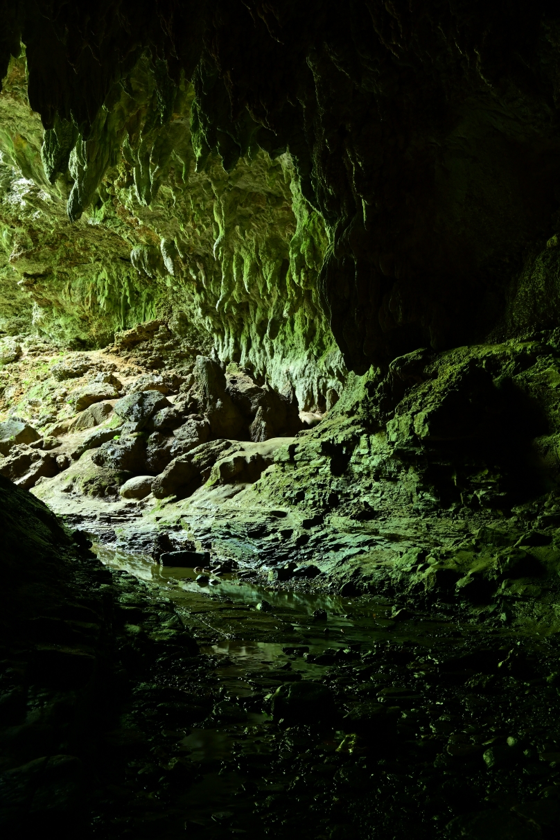 星野 佑佳×NIKKOR Z 24-200mm f/4-6.3 VR作品