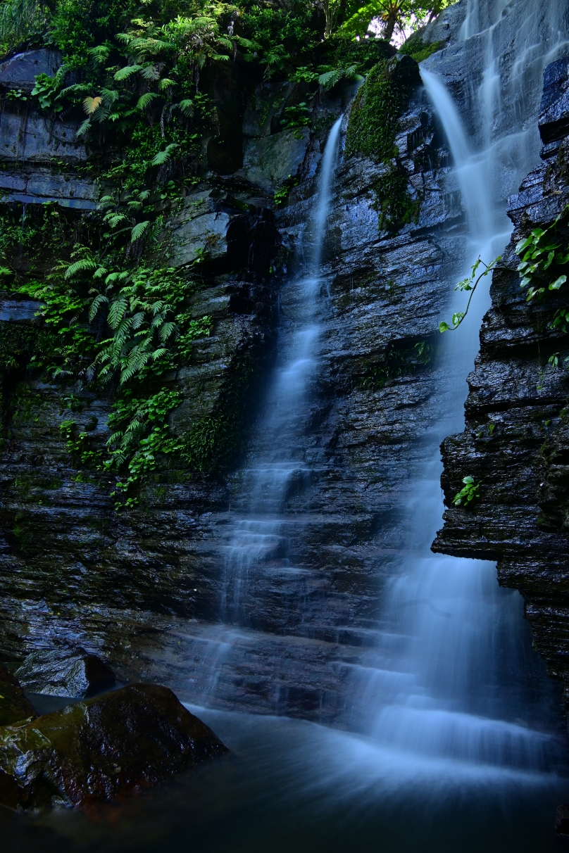 星野 佑佳×NIKKOR Z 24-200mm f/4-6.3 VR作品