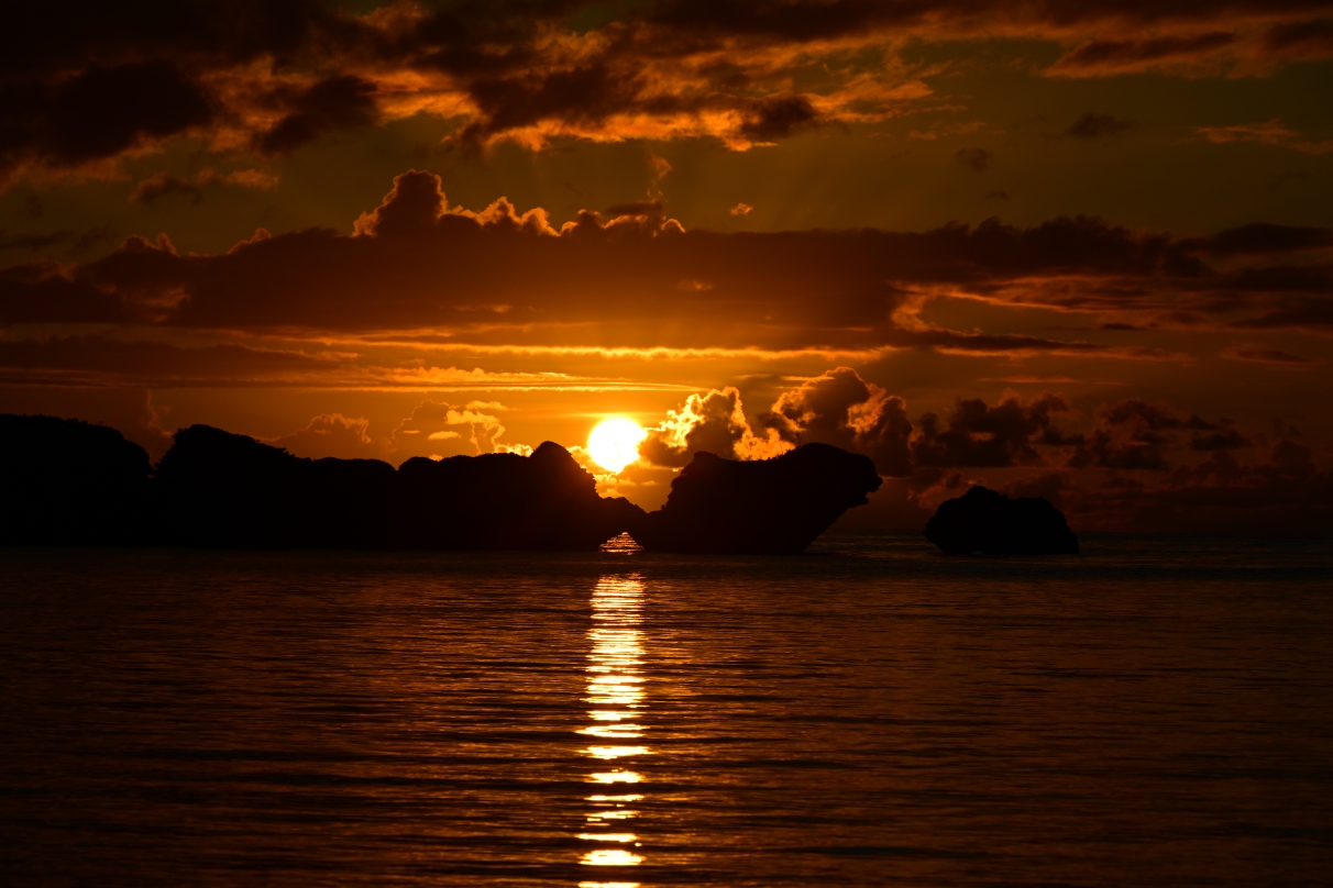 星野 佑佳×NIKKOR Z 24-200mm f/4-6.3 VR作品