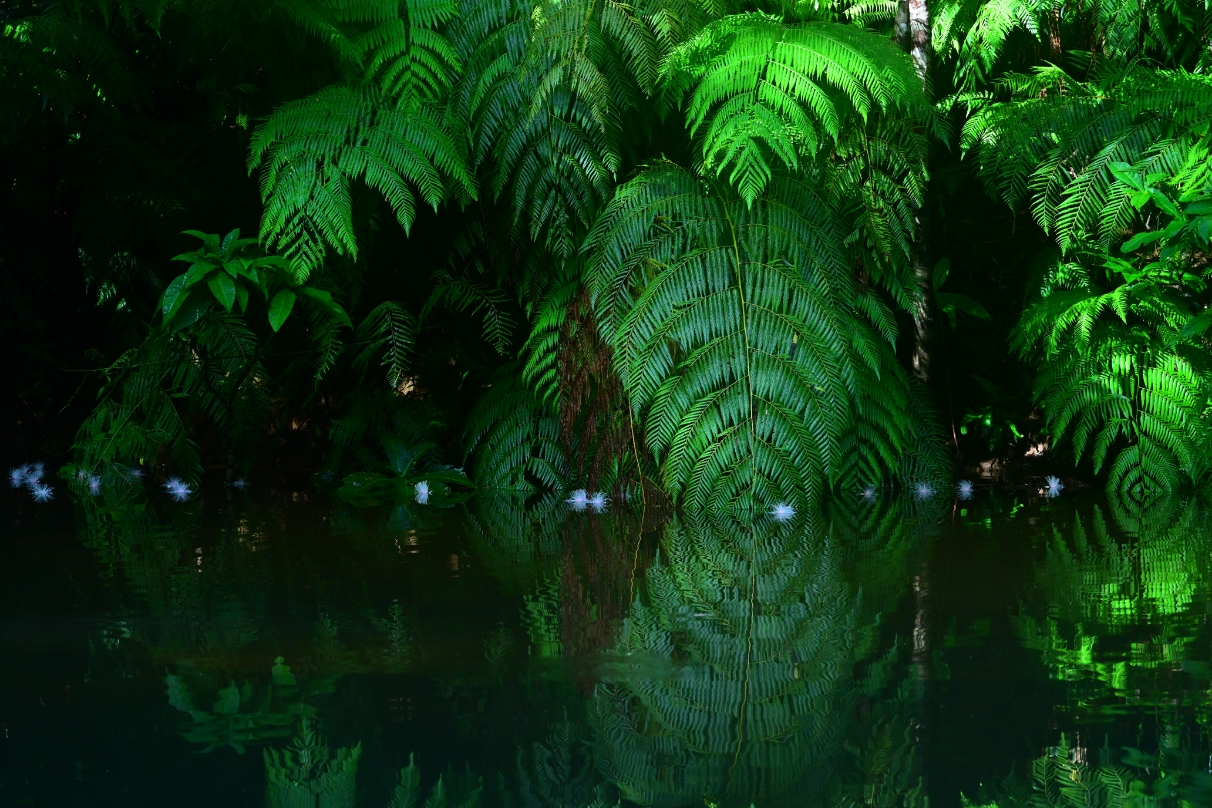 星野 佑佳×NIKKOR Z 24-200mm f/4-6.3 VR作品