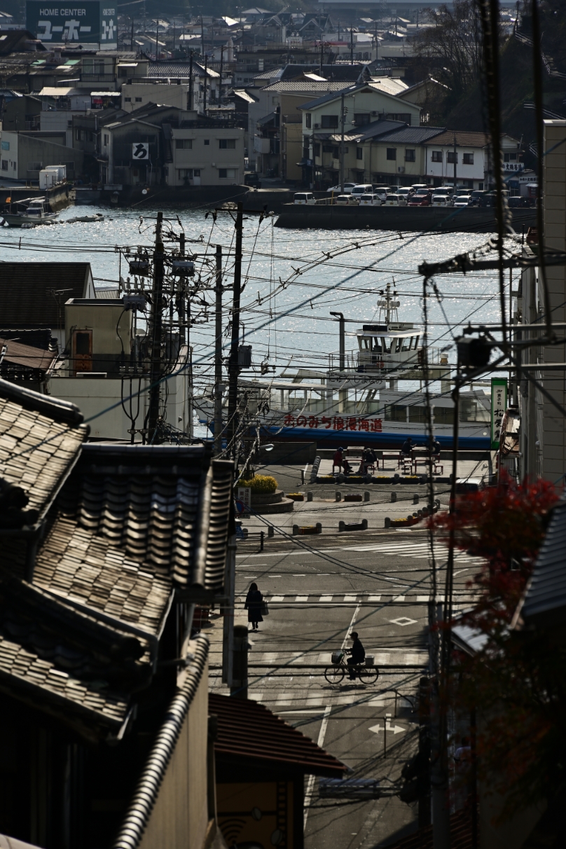 上田 晃司×NIKKOR Z 24-200mm f/4-6.3 VR作品