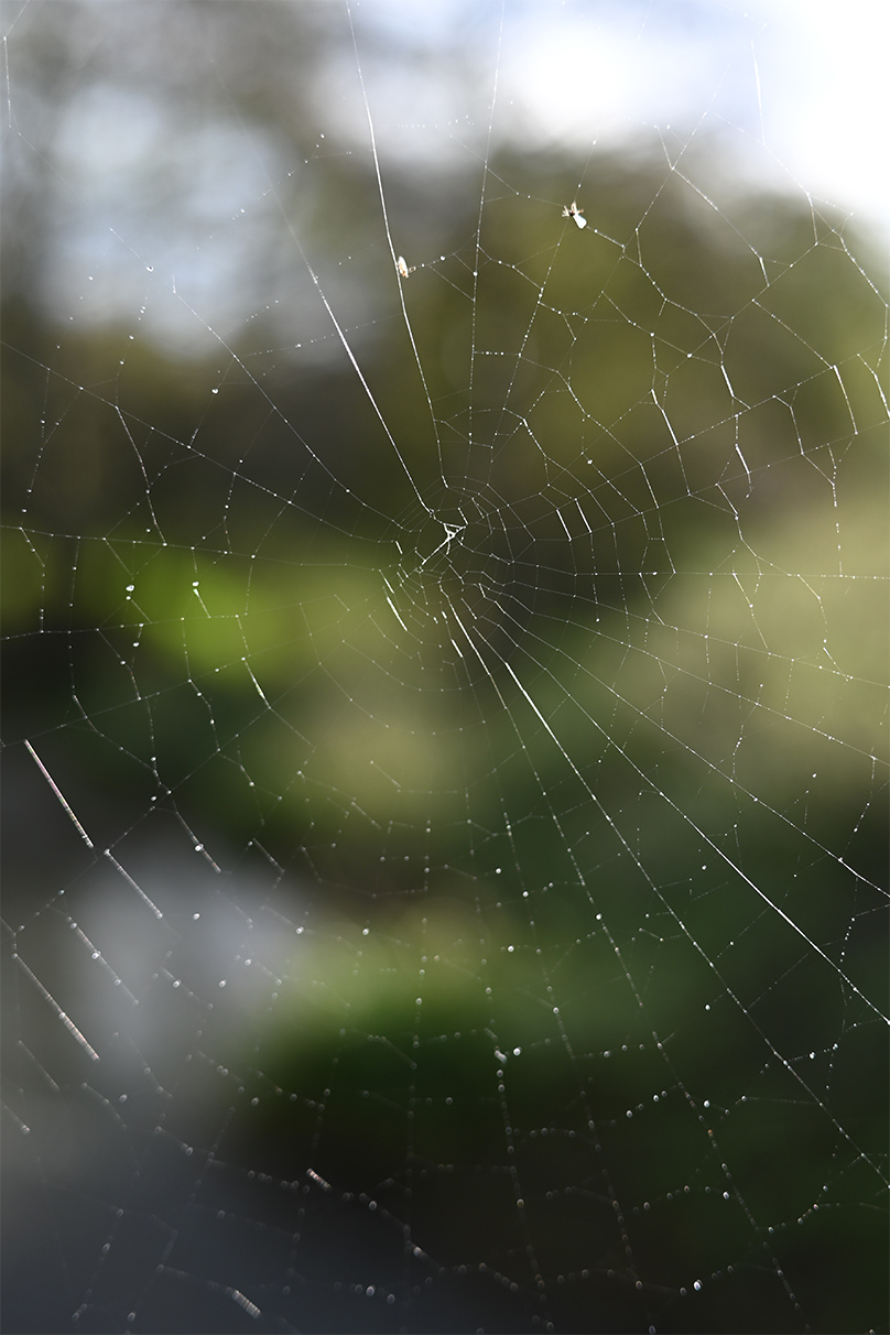 Ben Moore×NIKKOR Z 26mm f/2.8作品