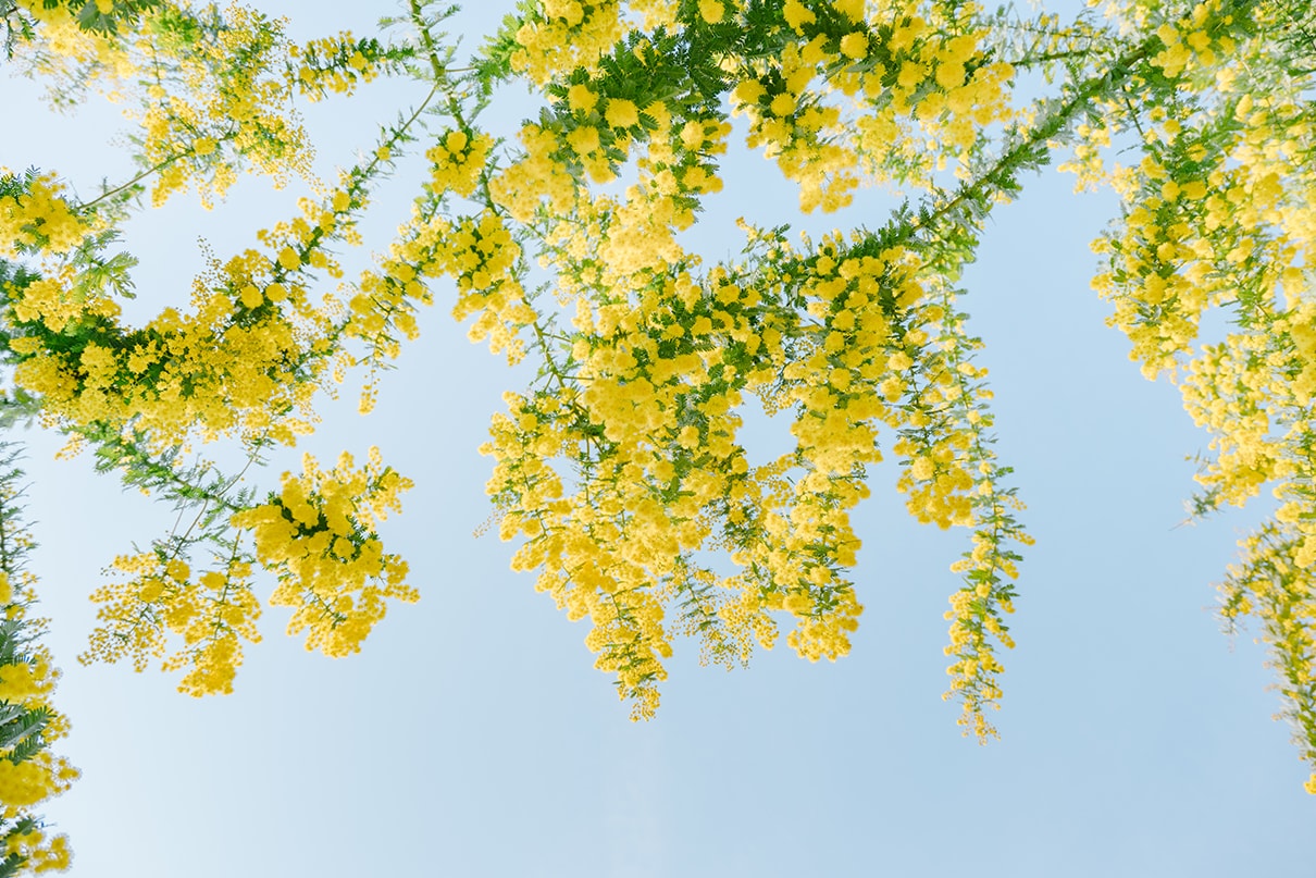 Yuri×NIKKOR Z 28-400mm f/4-8 VR作品