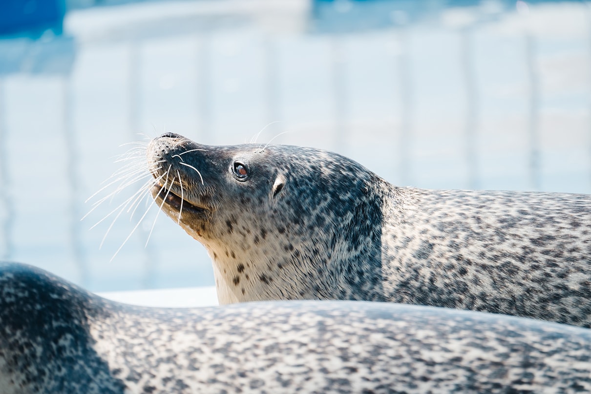 Yuri×NIKKOR Z 28-400mm f/4-8 VR作品