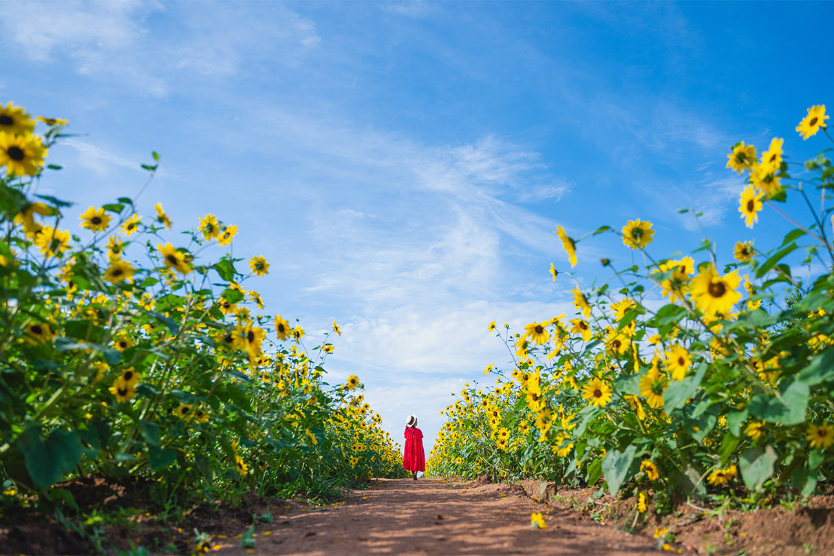 梶原 憲之×NIKKOR Z 28-75mm f/2.8作品