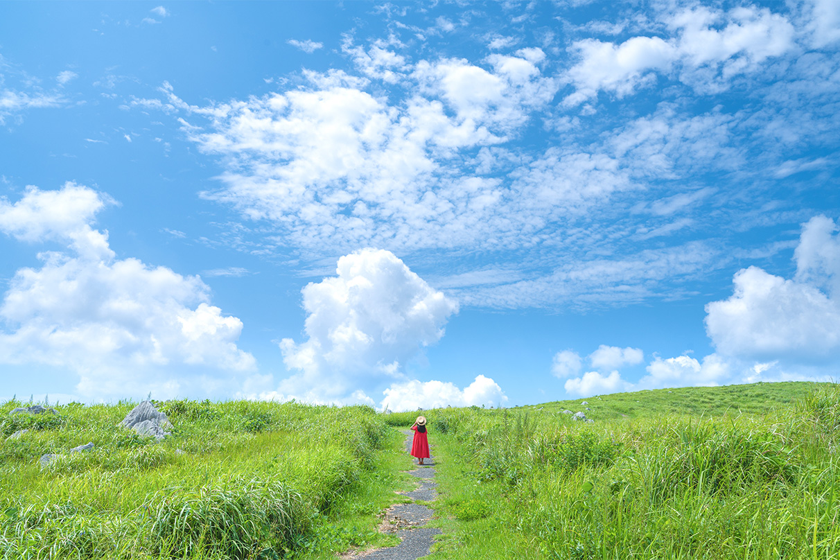 梶原 憲之×NIKKOR Z 28-75mm f/2.8作品