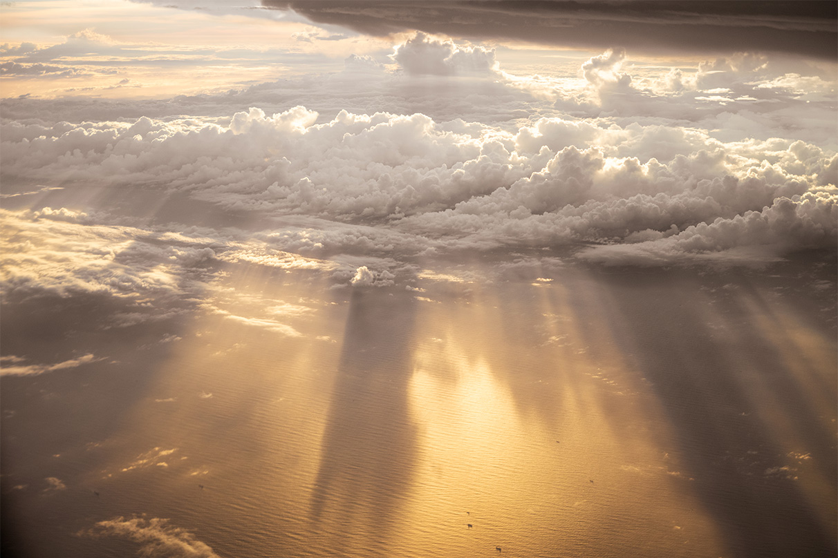 伊佐 知美×NIKKOR Z 28-75mm f/2.8作品