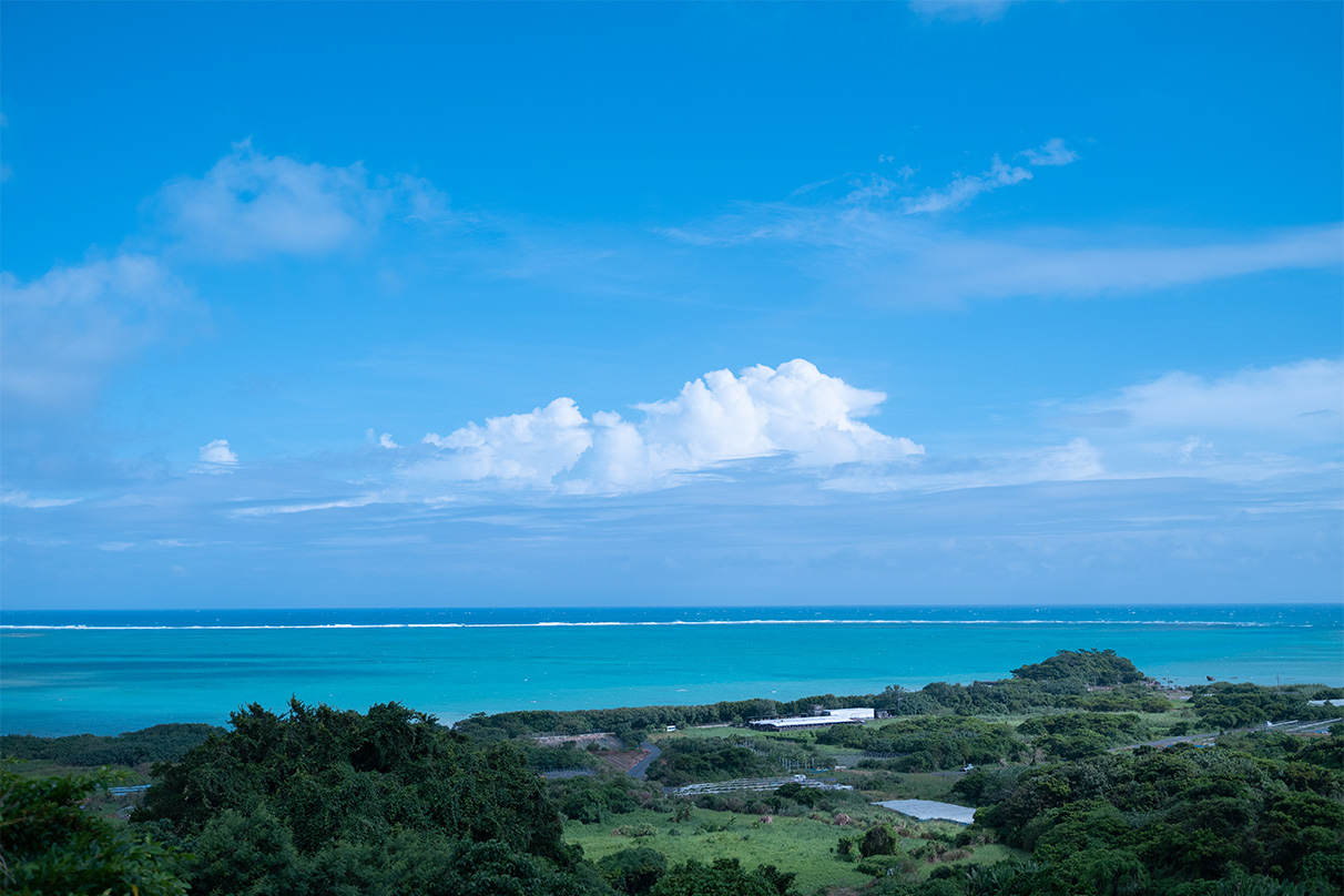 伊佐 知美×NIKKOR Z 28-75mm f/2.8作品