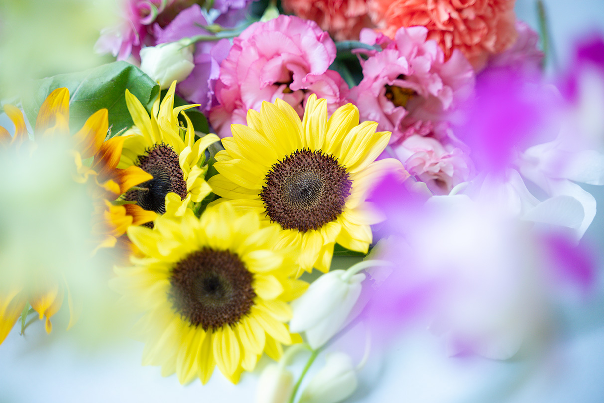 伊佐 知美×NIKKOR Z 28-75mm f/2.8作品