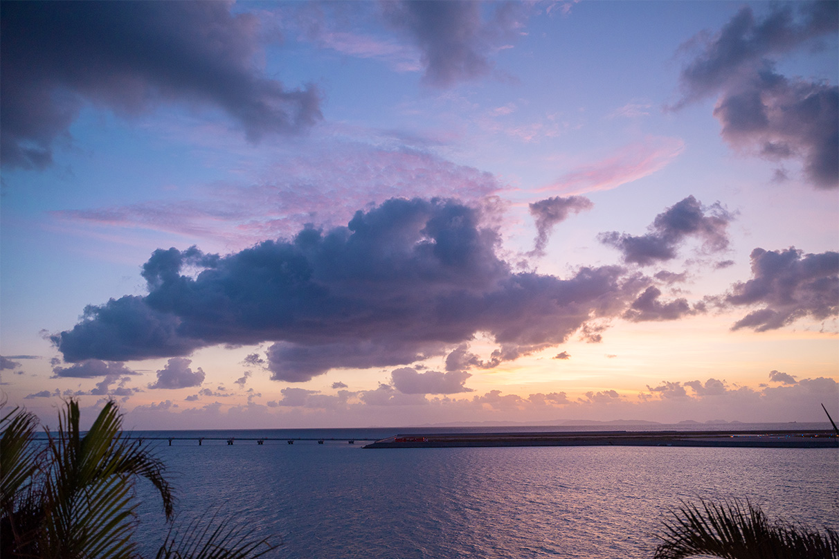 伊佐 知美×NIKKOR Z 28-75mm f/2.8作品